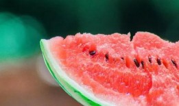 娱乐有态度吃瓜有深度,揭秘娱乐圈背后的故事